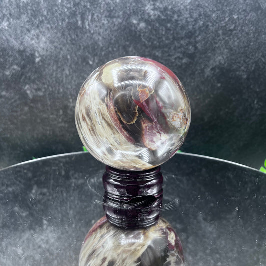 Petrified Wood With Druzy Sphere