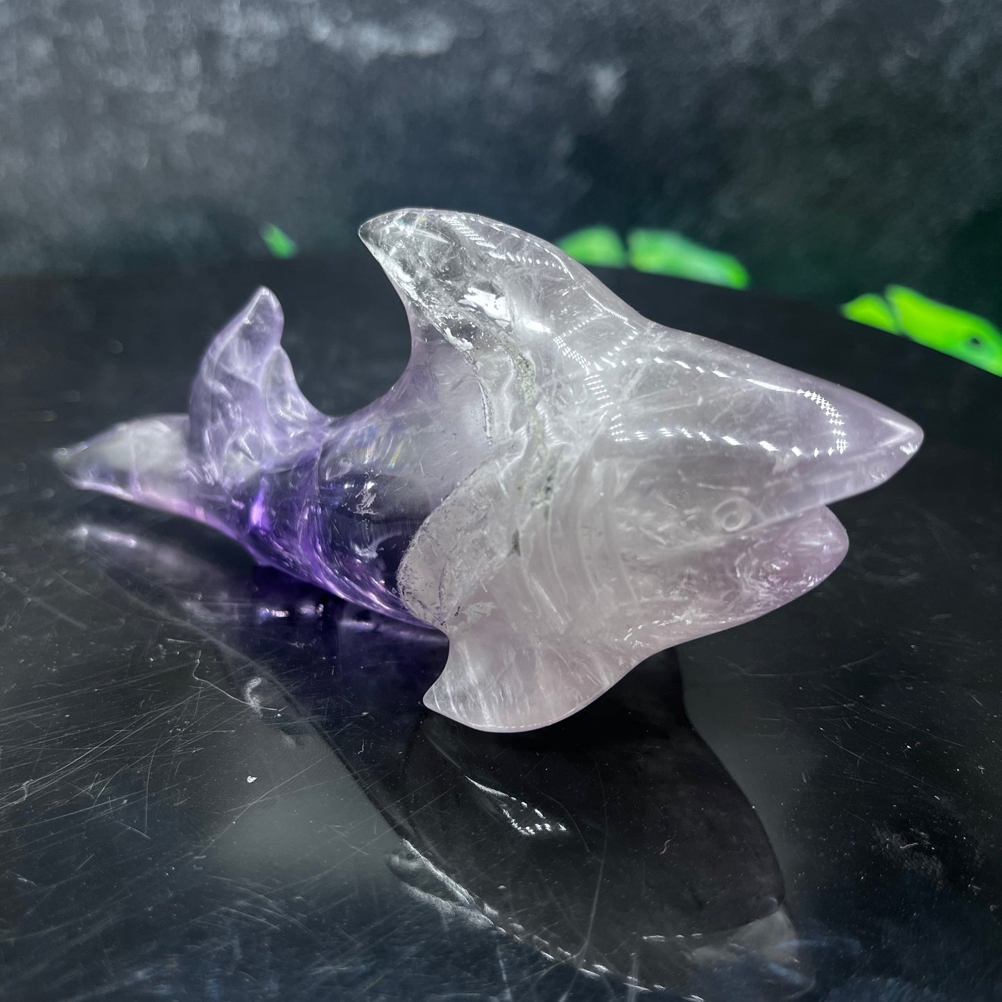 Amethyst Shark