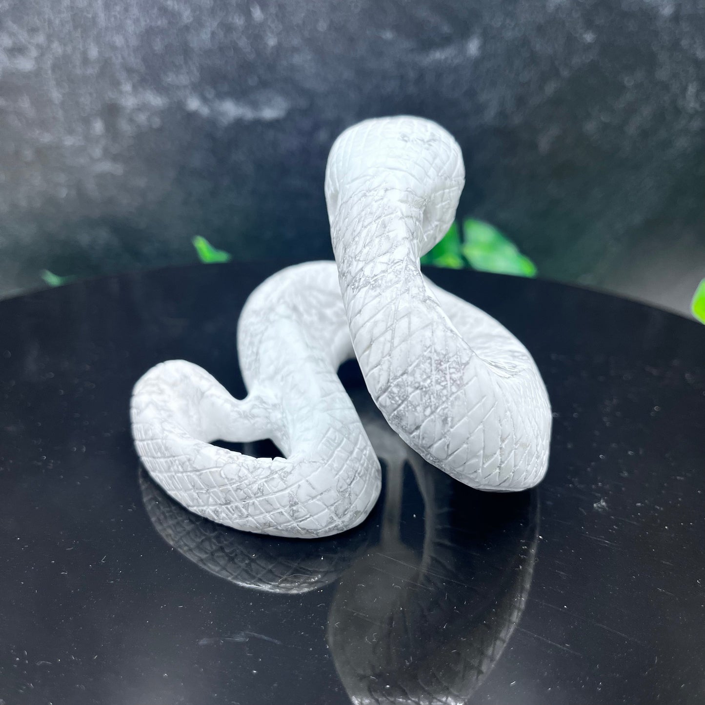 Howlite Snake