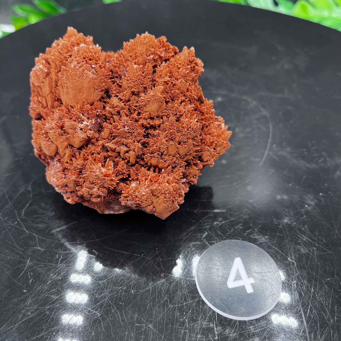 Starry Acicular Red Calcite Specimen