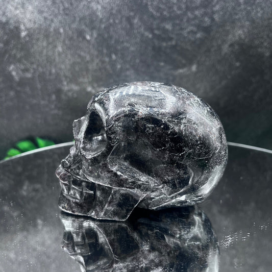 Garnet in Arfvedsonite Skull