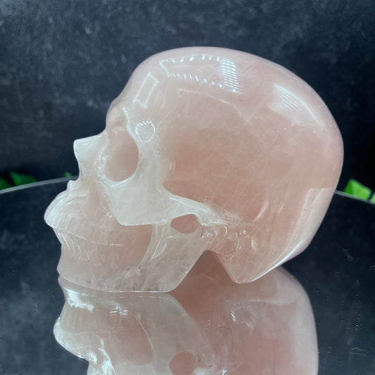 Rose Quartz Skull