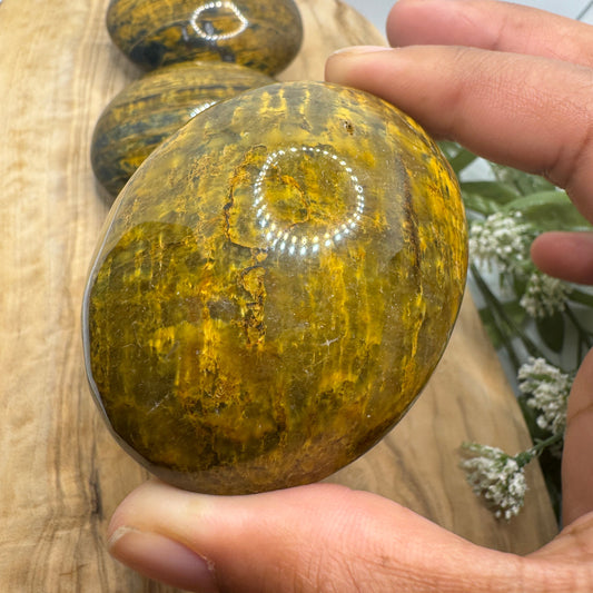 Nellis Pietersite Egg Palm Stone