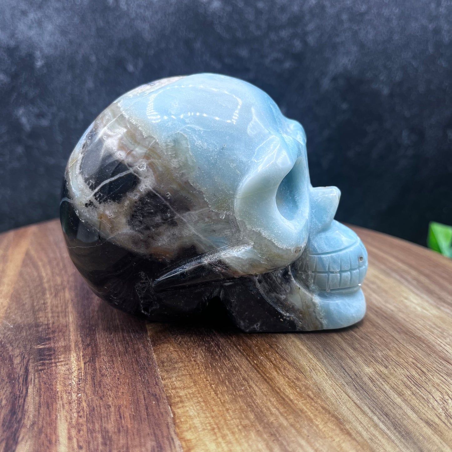 Caribbean Calcite Skull