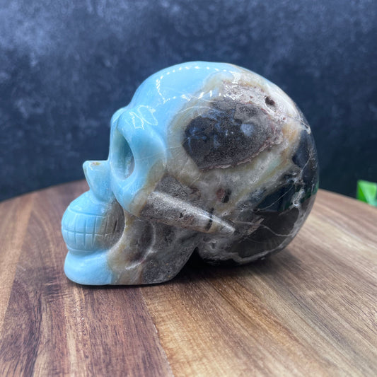 Caribbean Calcite Skull