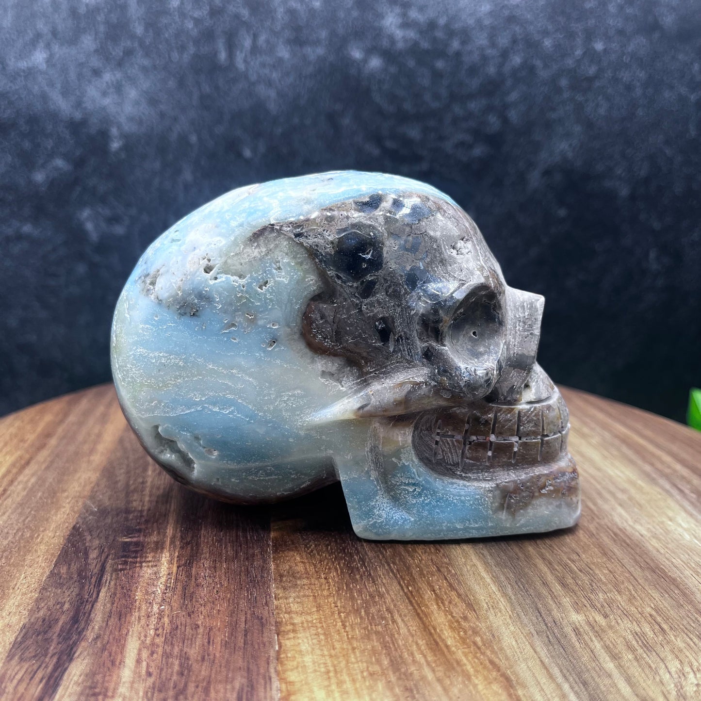 Caribbean Calcite Skull
