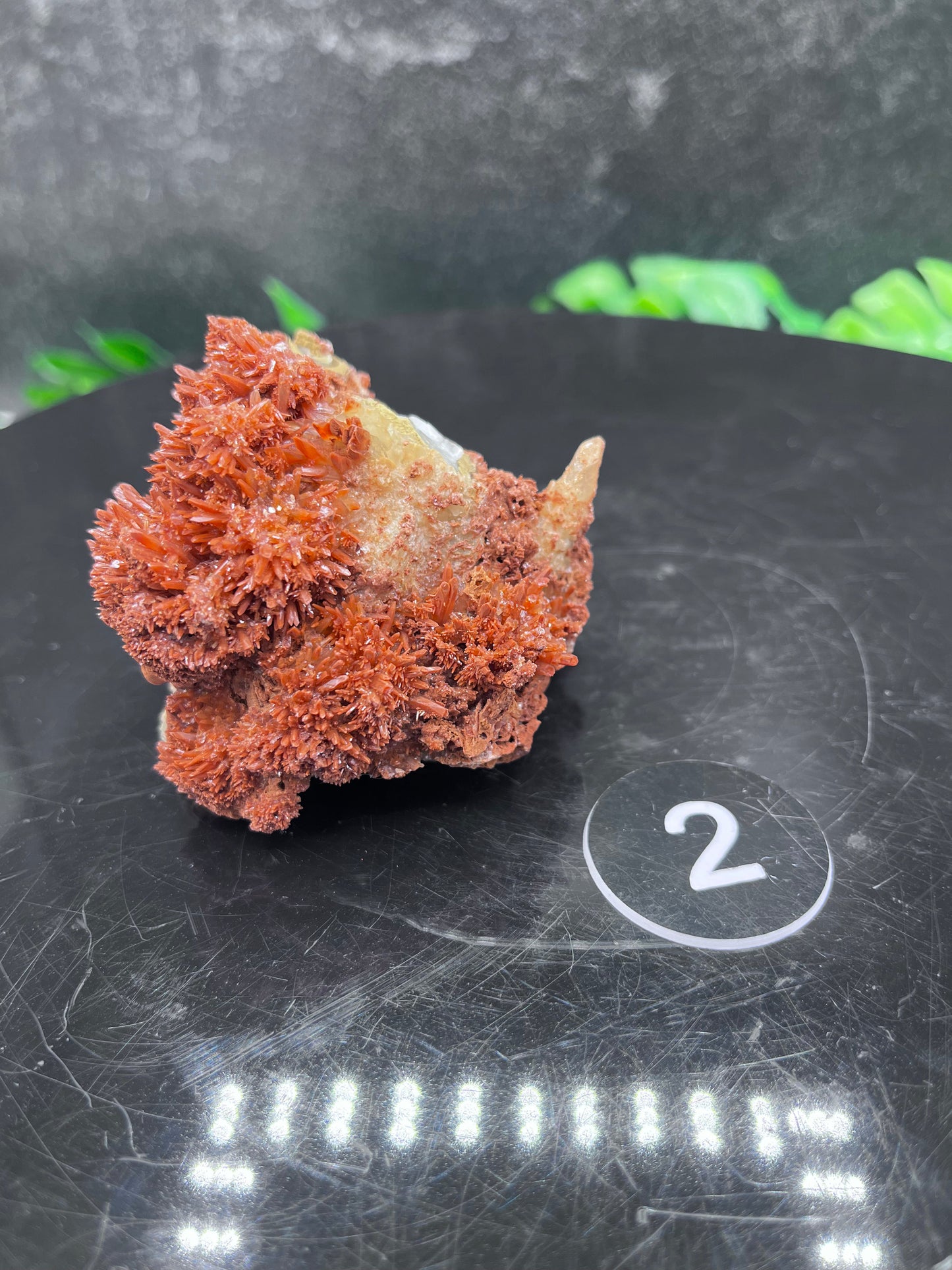 Starry Acicular Red Calcite Specimen