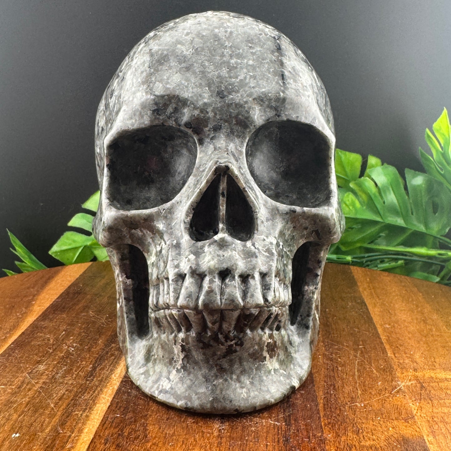 XL 7 inch Yooperlite Skull