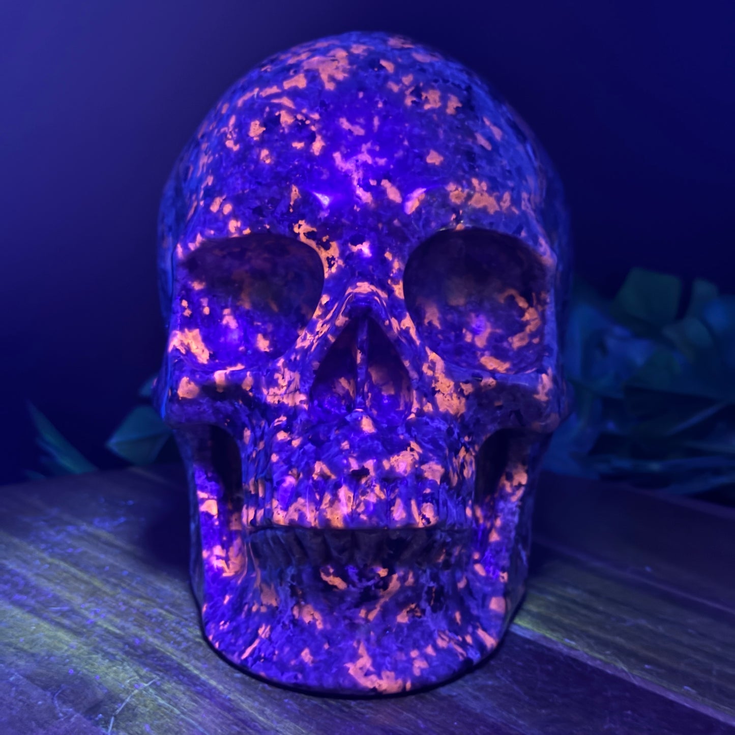 XL 7 inch Yooperlite Skull