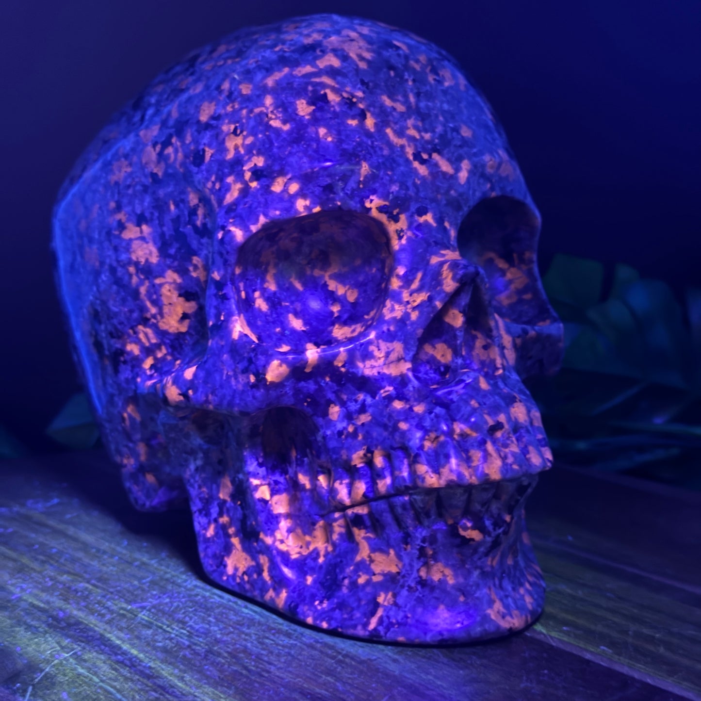 XL 7 inch Yooperlite Skull