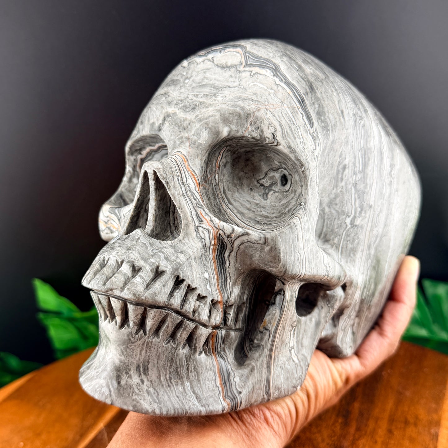 XL Red Line Jasper Skull