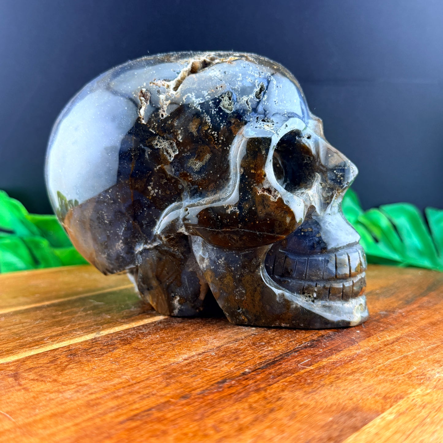 Agatized Jasper Skull