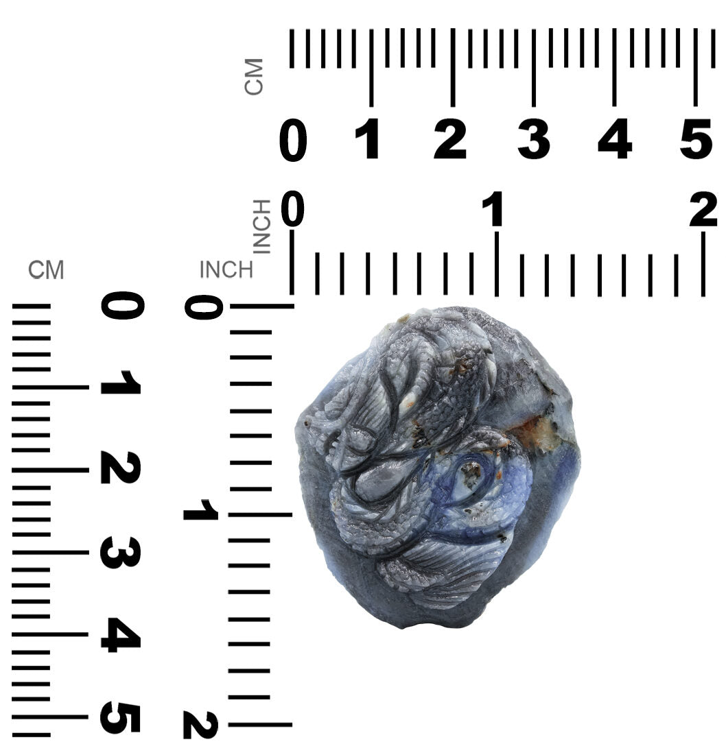 Starborn Hand Carved Sapphire Dragon 180.6ct - 1 Piece