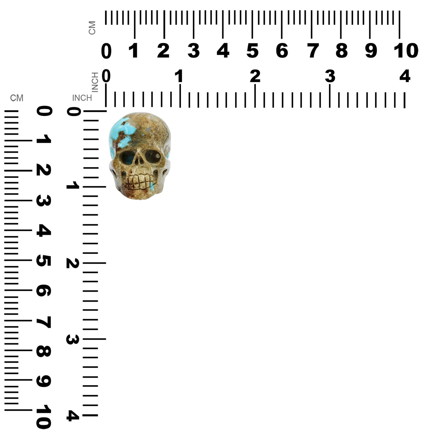 Starborn Hand Carved Patagonia Turquoise Skull (172.5ct) - 1 Piece