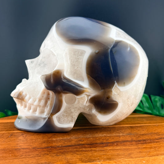 Druzy Agate with Quartz XL Skull