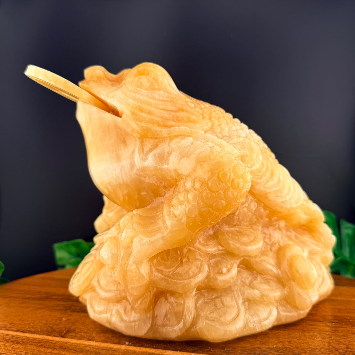 XL Orange Calcite Money Toad
