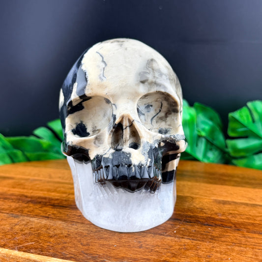 Volcano Agate Skull