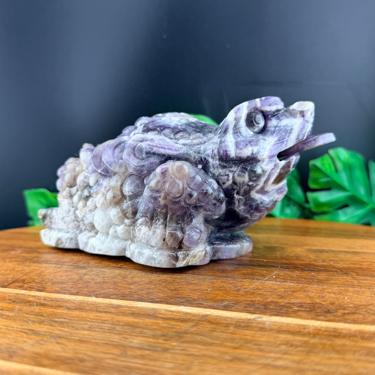 Dream Amethyst Money Toad