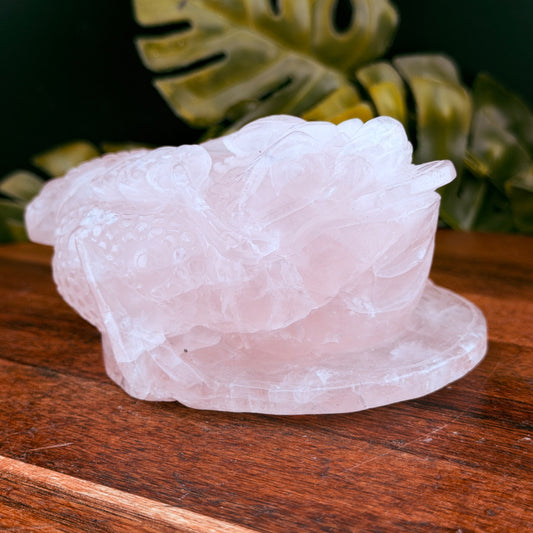 Rose Quartz Money Toad