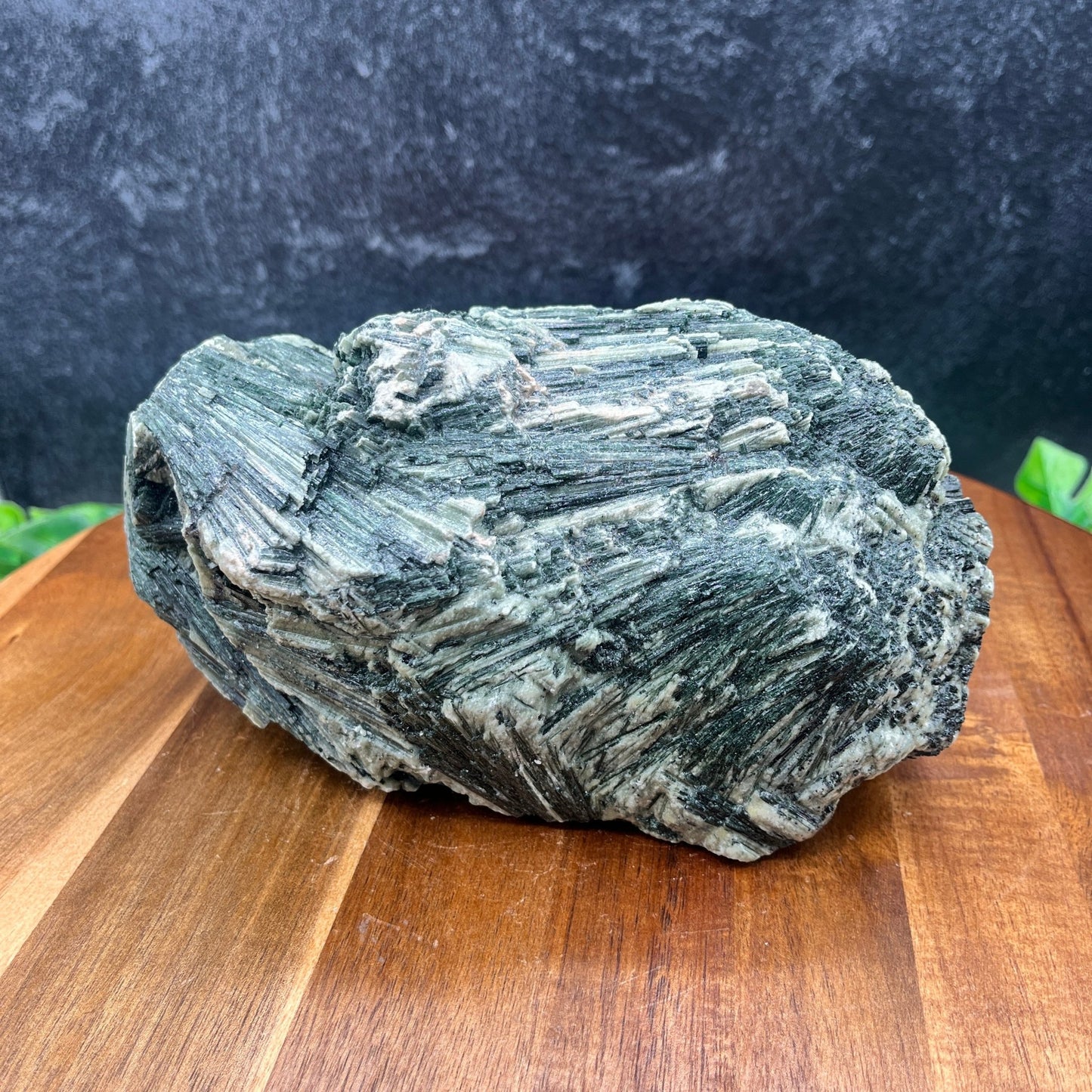 Actinolite Specimen - Sage & Magic