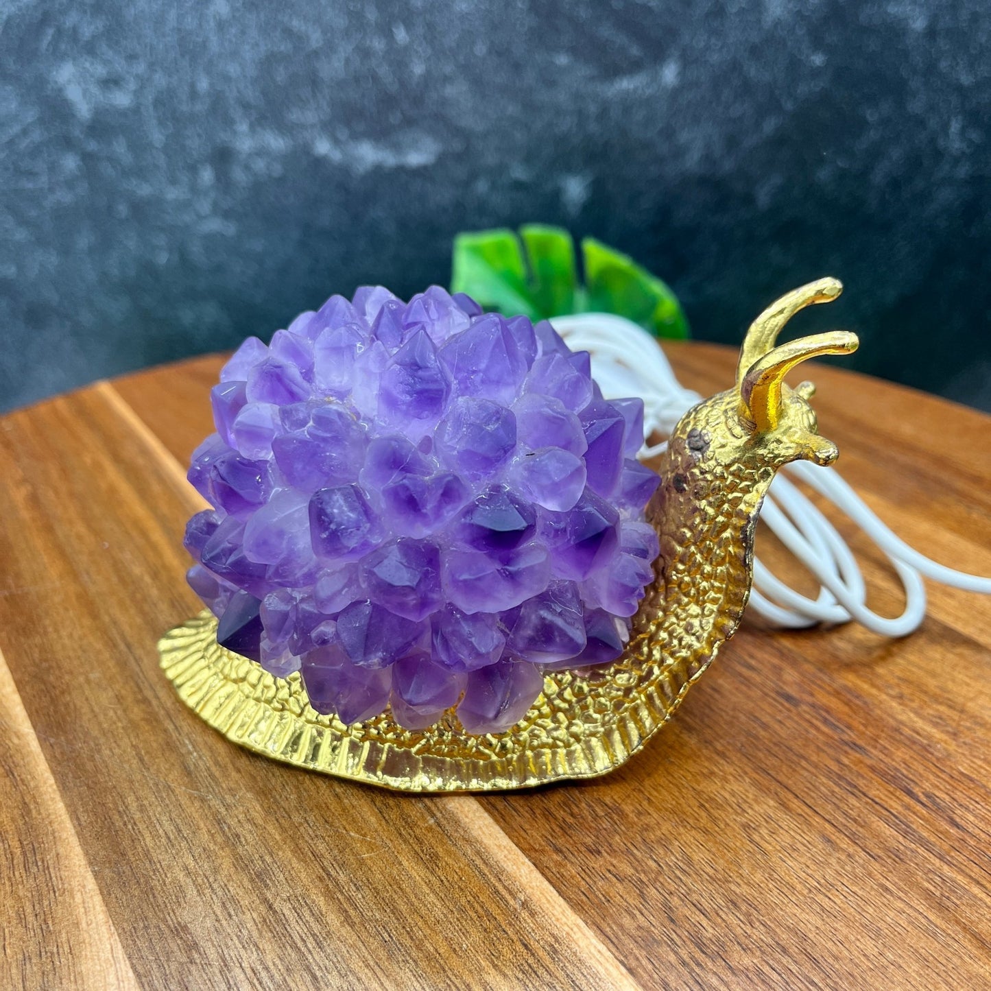 Amethyst Snail USB Lamp - Sage & Magic