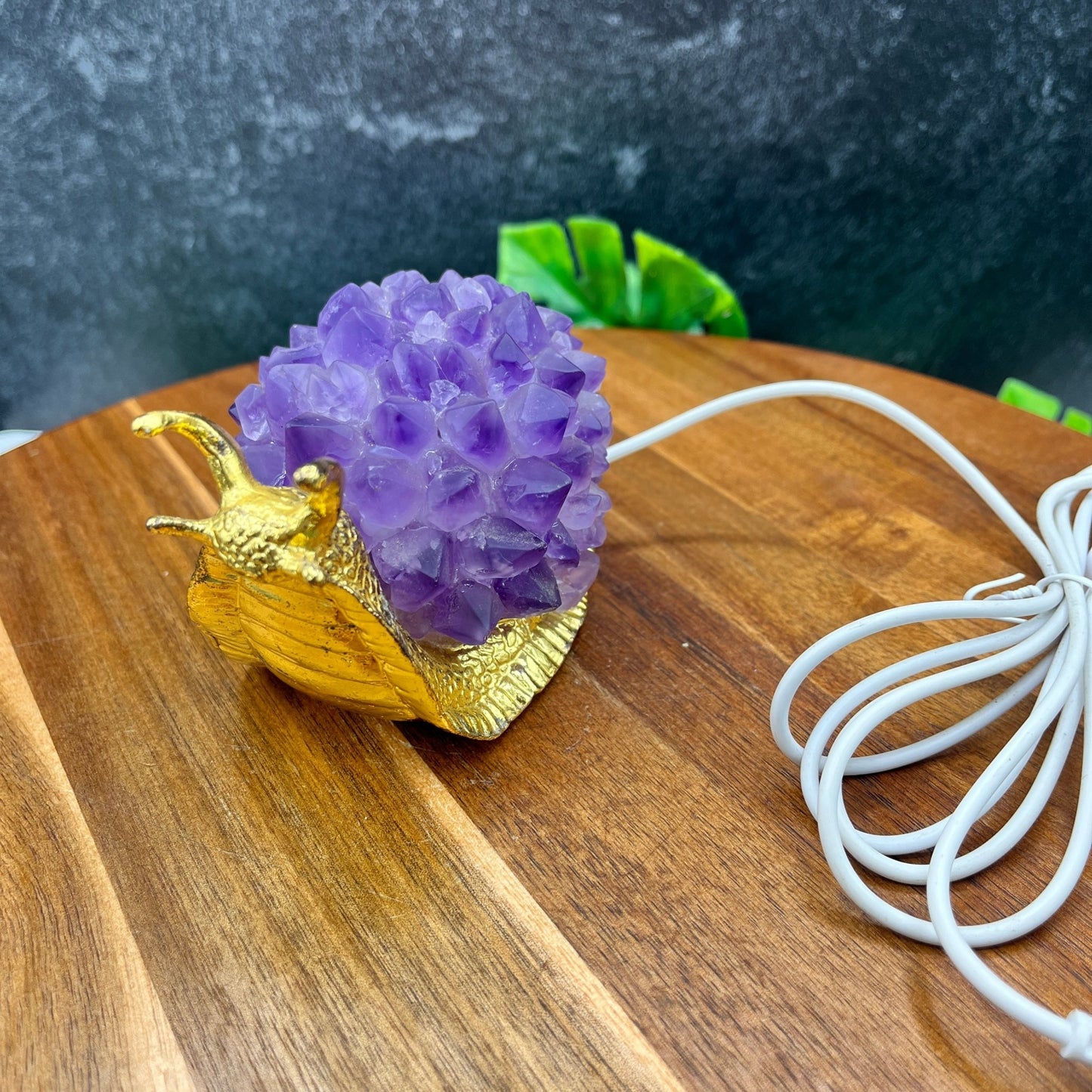 Amethyst Snail USB Lamp - Sage & Magic