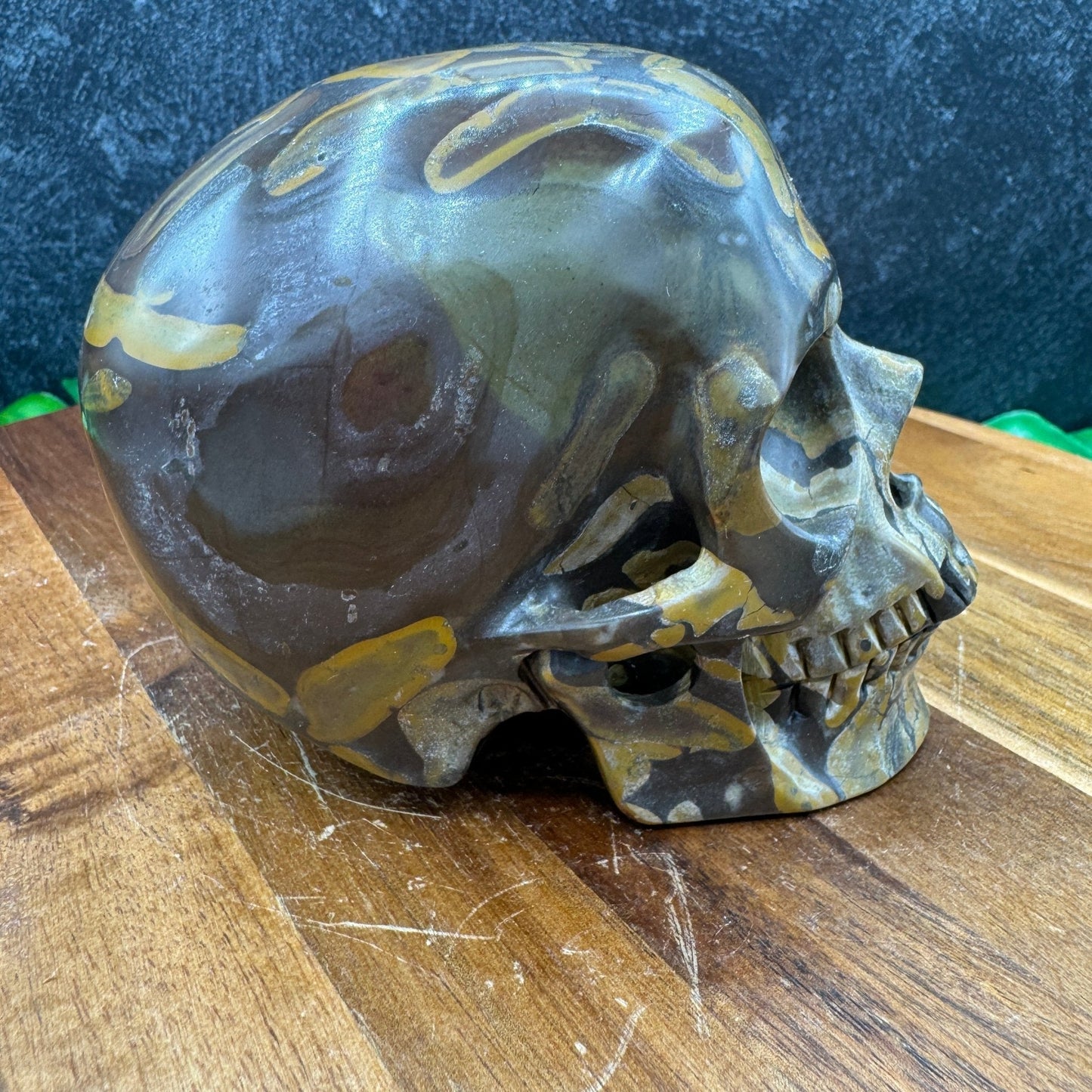 Bamboo Jasper Skull - Sage & Magic
