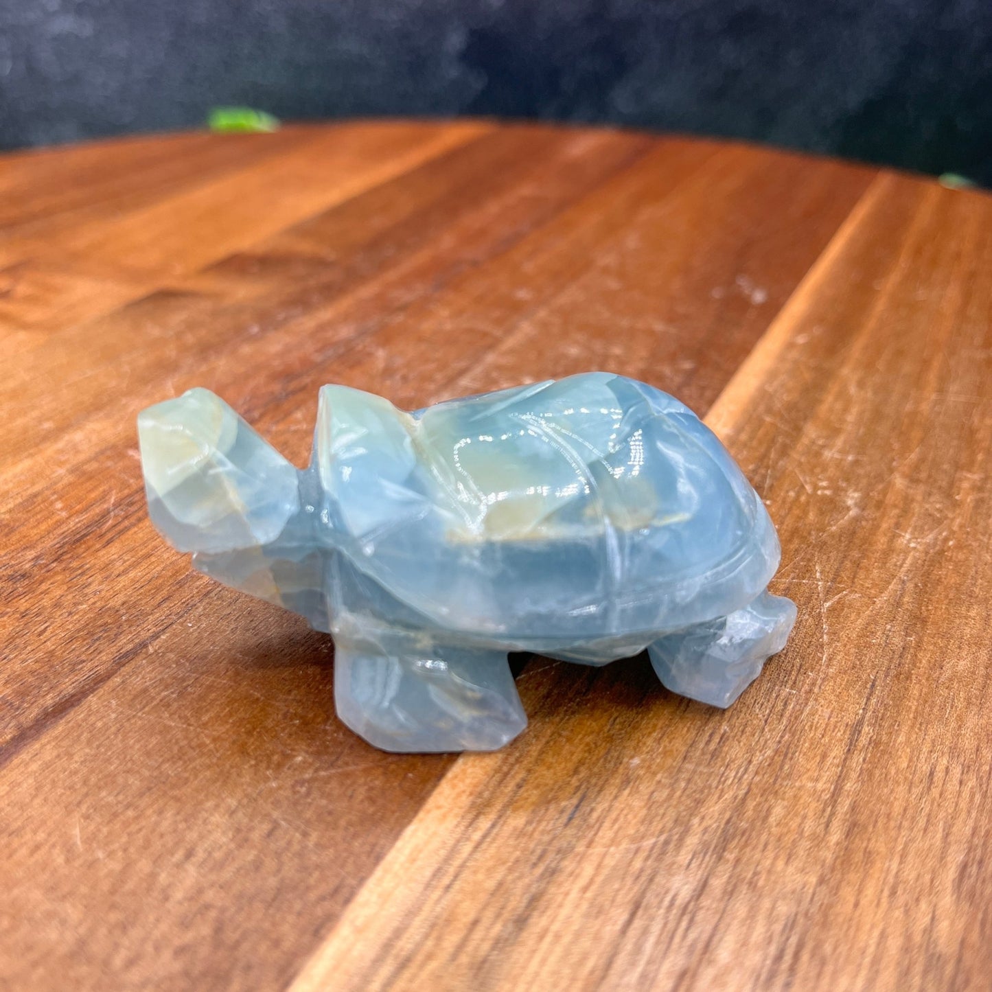Blue Onyx Turtle - Sage & Magic