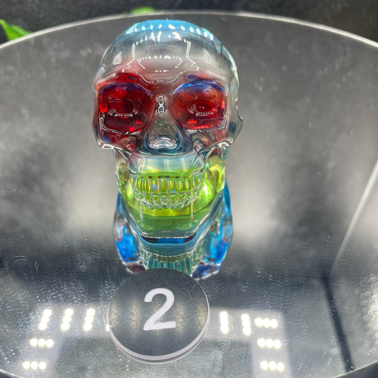 Cosmic Glass Skull - Sage & Magic