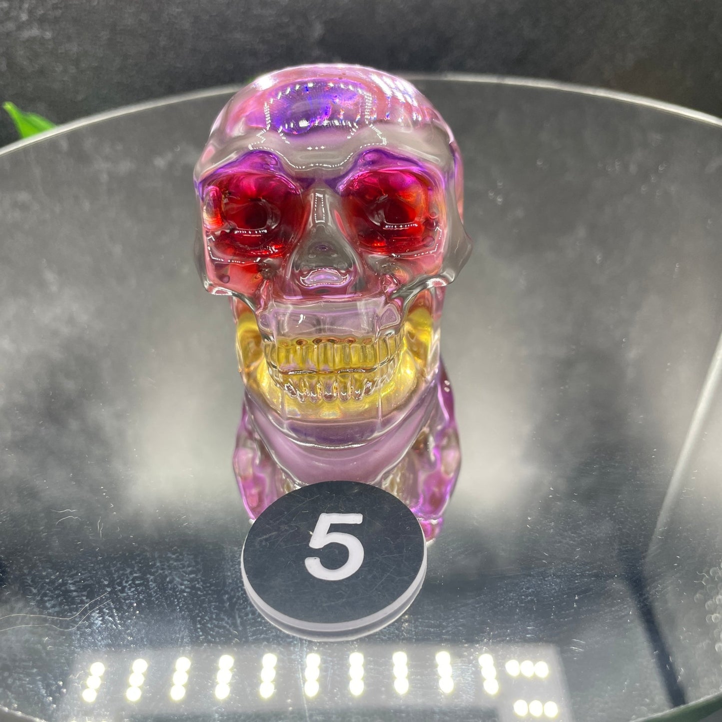 Cosmic Glass Skull - Sage & Magic