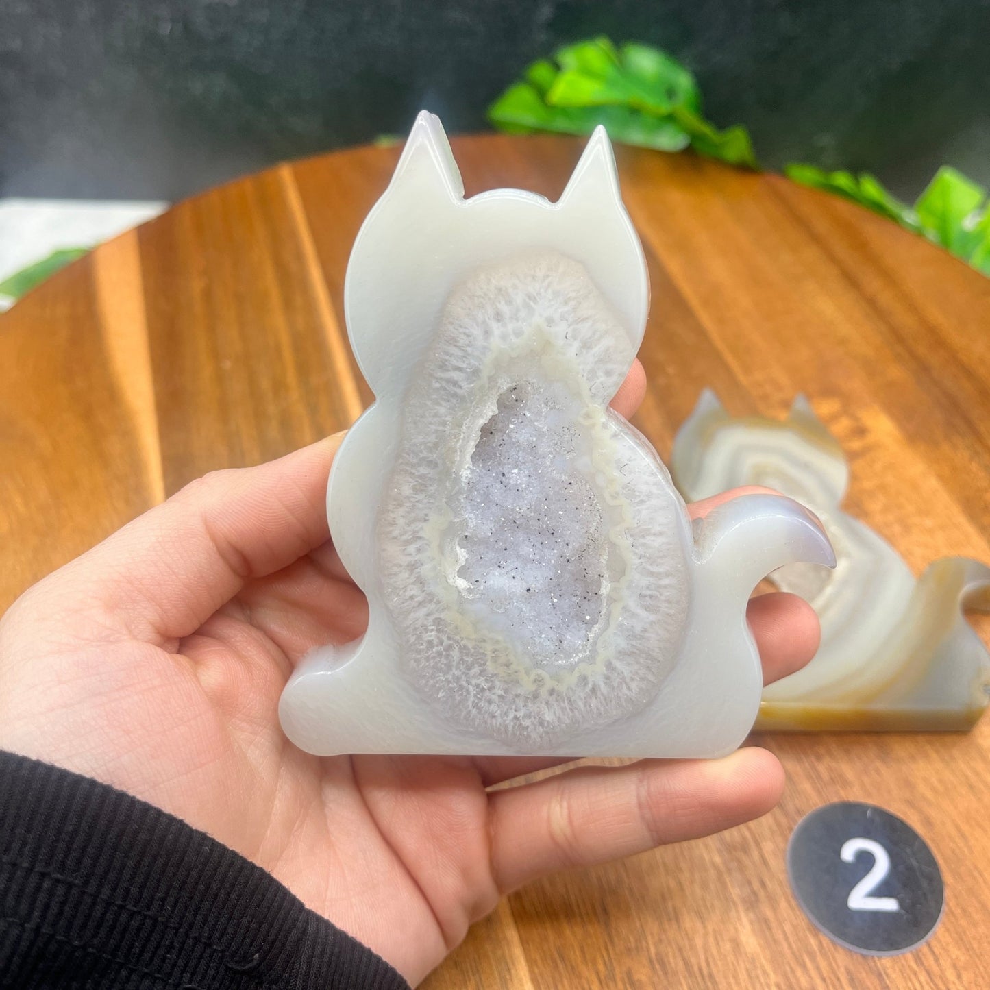 Druzy Agate Cat - Sage & Magic