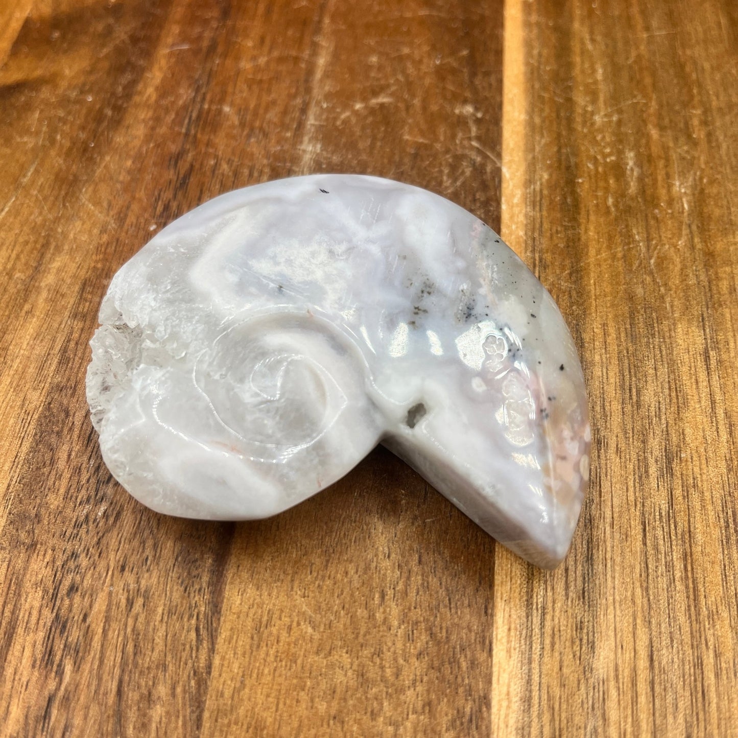 Druzy Flower Agate Ammonite - Sage & Magic