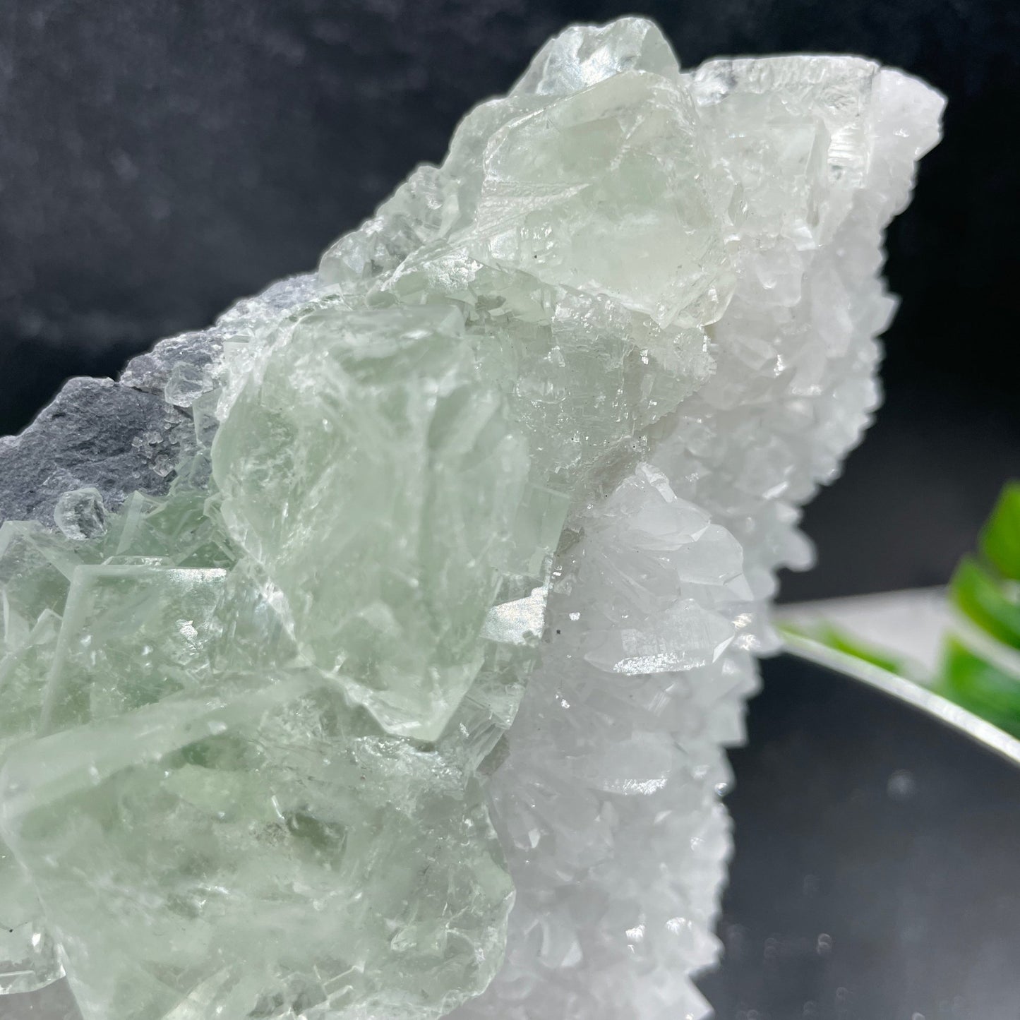 Glassy Green Cubic Fluorite on Quartz - Sage & Magic