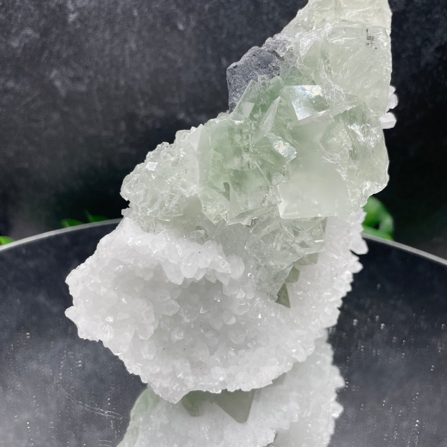 Glassy Green Cubic Fluorite on Quartz - Sage & Magic
