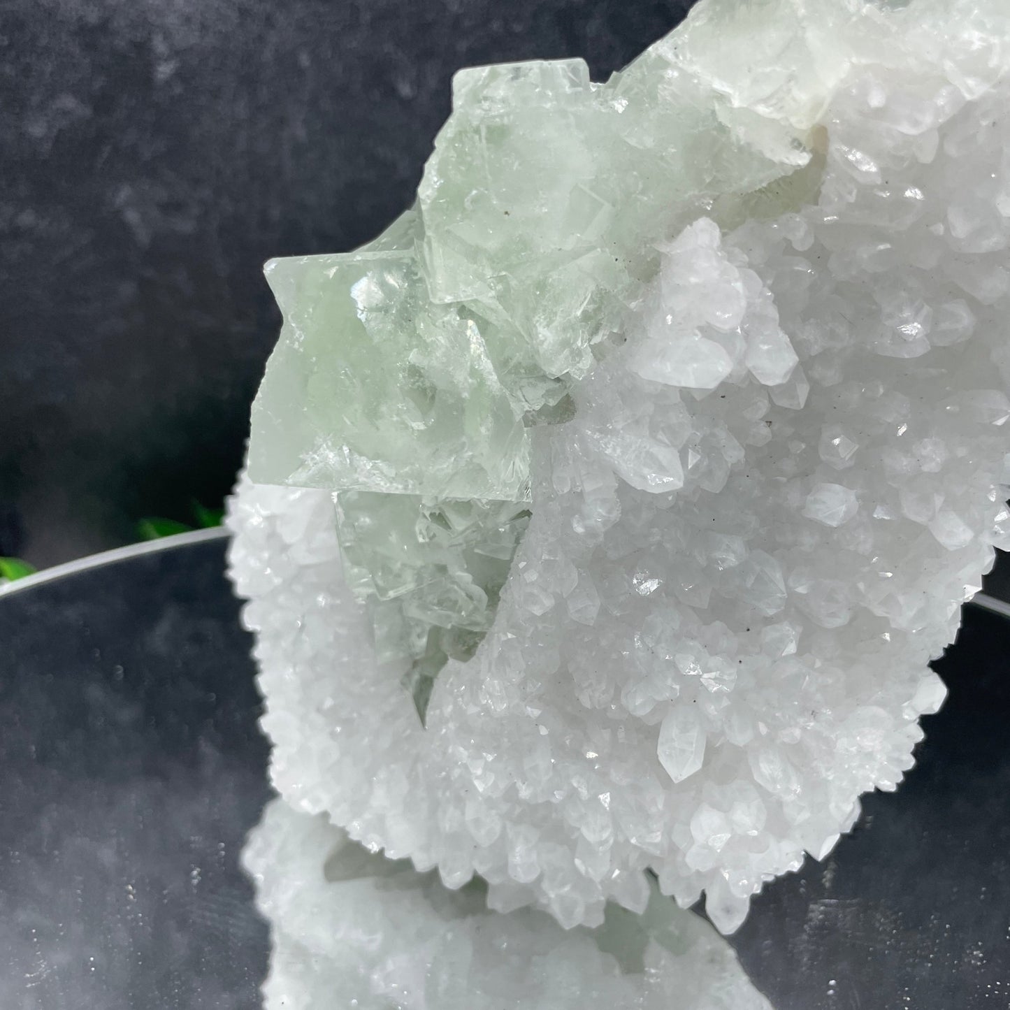 Glassy Green Cubic Fluorite on Quartz - Sage & Magic