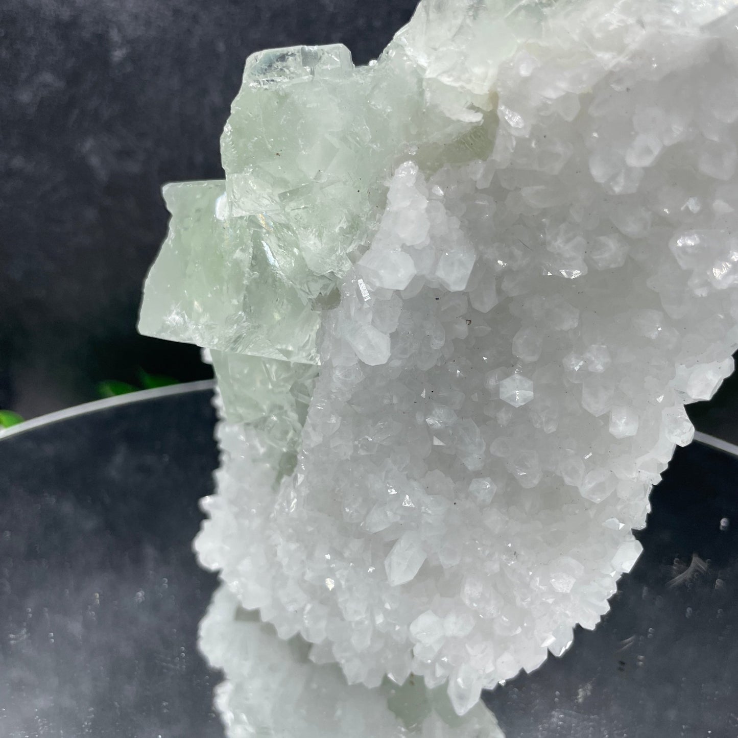 Glassy Green Cubic Fluorite on Quartz - Sage & Magic