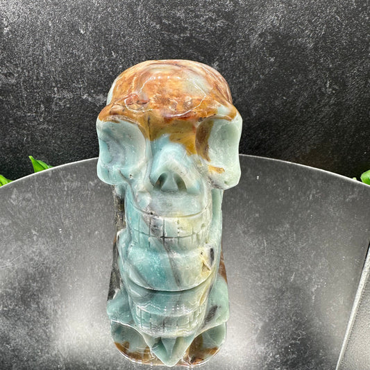 Caribbean Calcite Skull with Pyrite