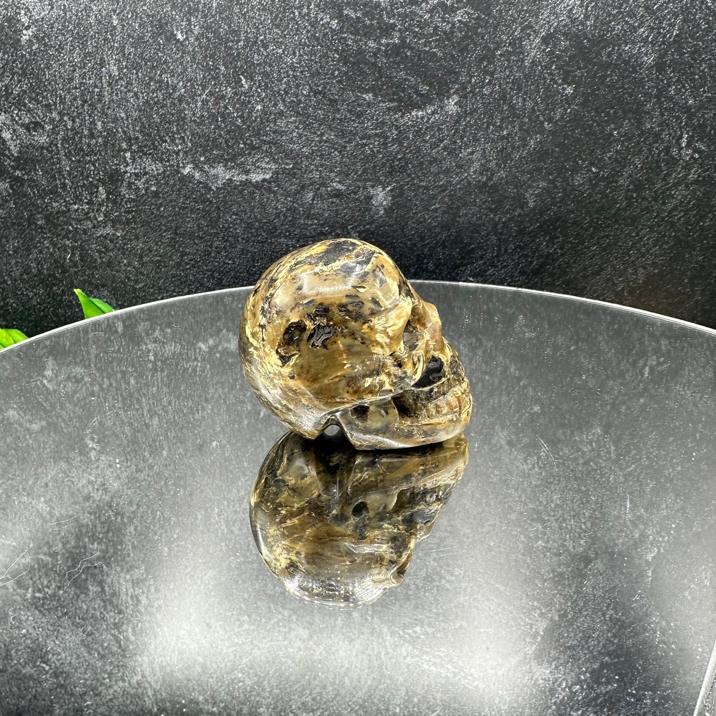 Small Sumatran Amber Skull
