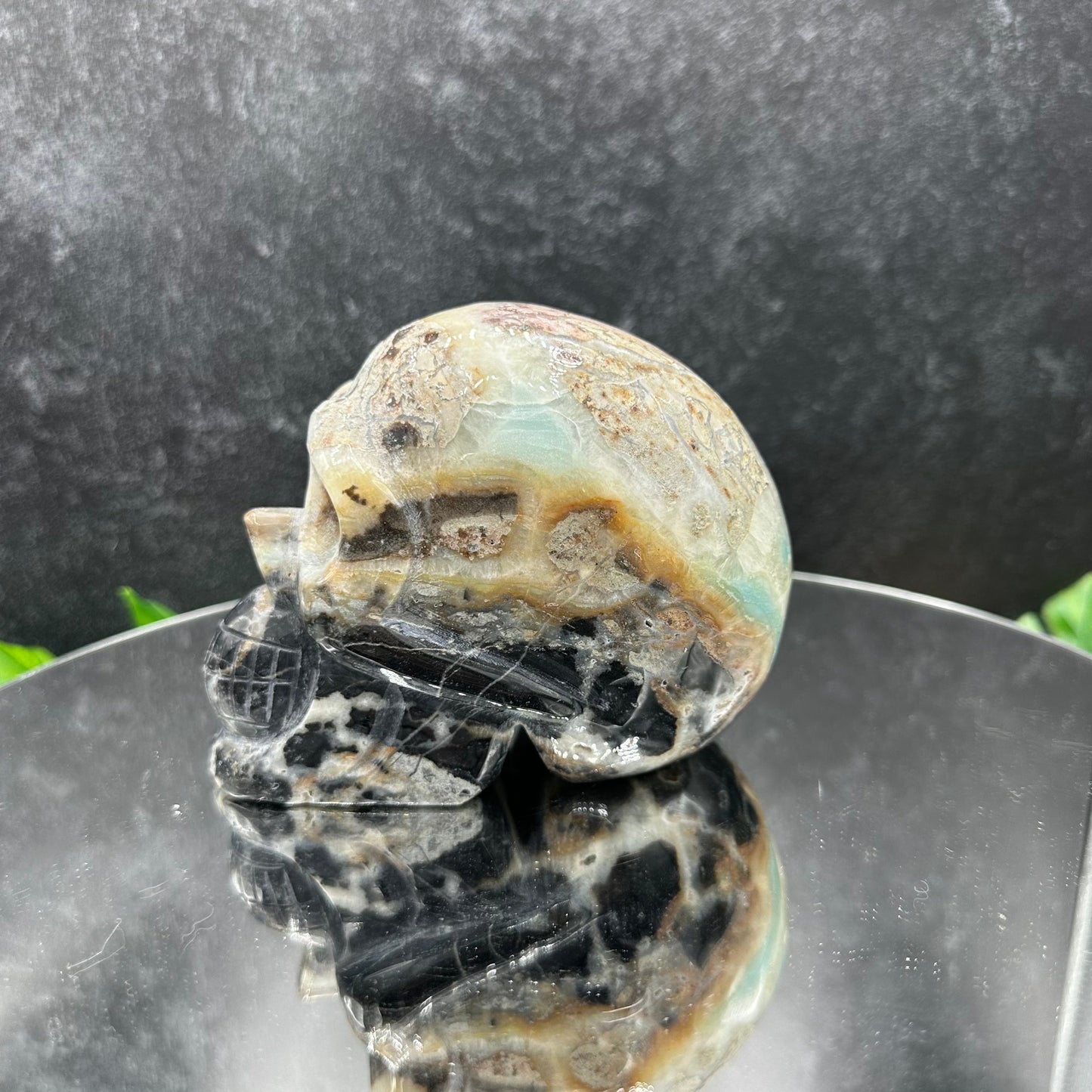 Caribbean Calcite Skull