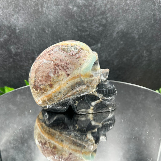 Caribbean Calcite Skull
