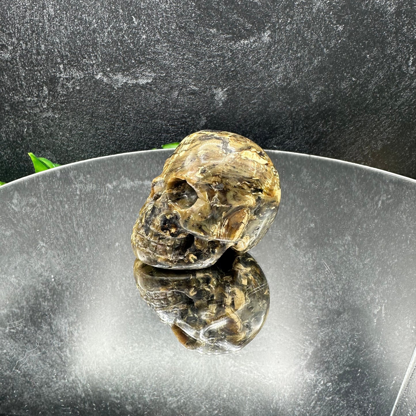 Small Sumatran Amber Skull