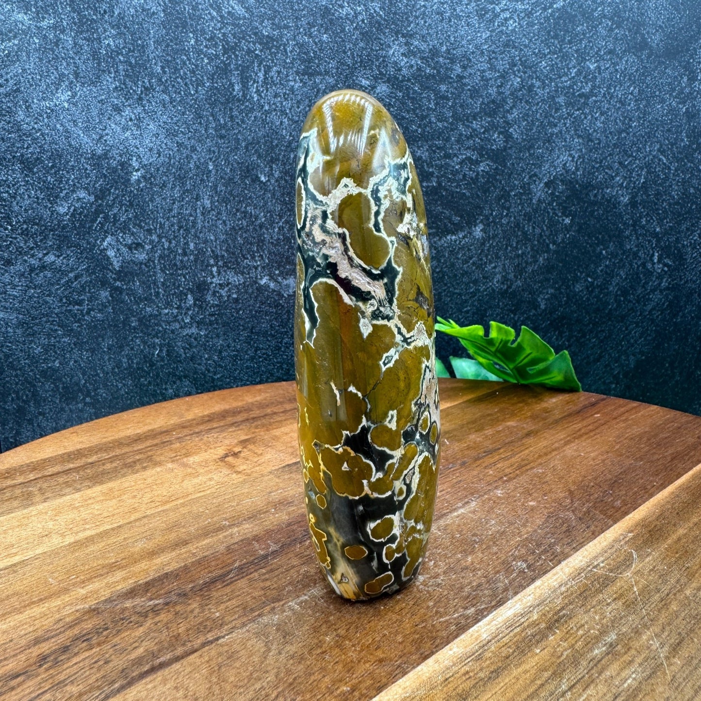 Mustard Yellow Orbicular Jasper Freeform with Druzy - Sage & Magic