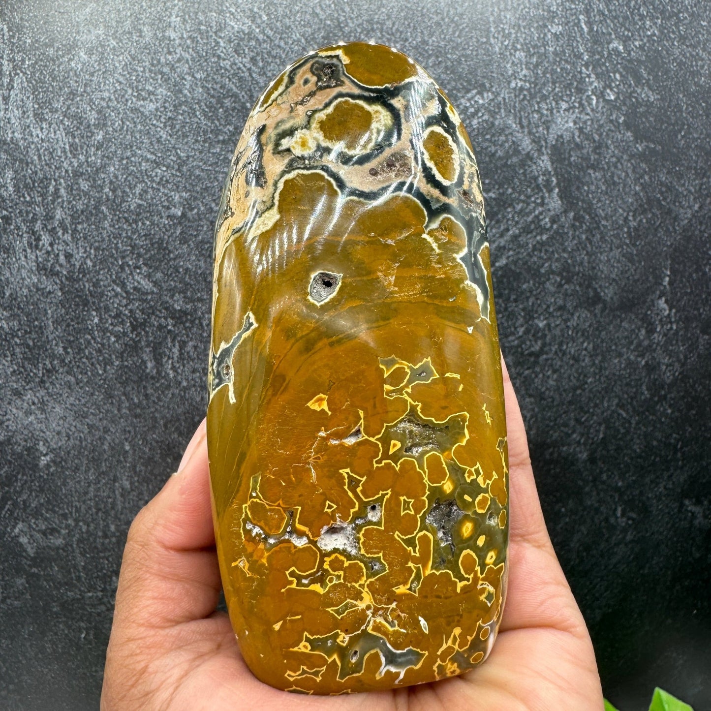 Mustard Yellow Orbicular Jasper Freeform with Druzy - Sage & Magic