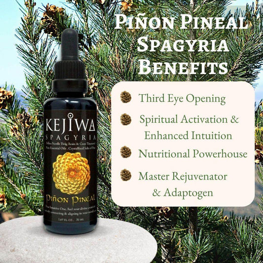 Piñon Pineal Spagyria