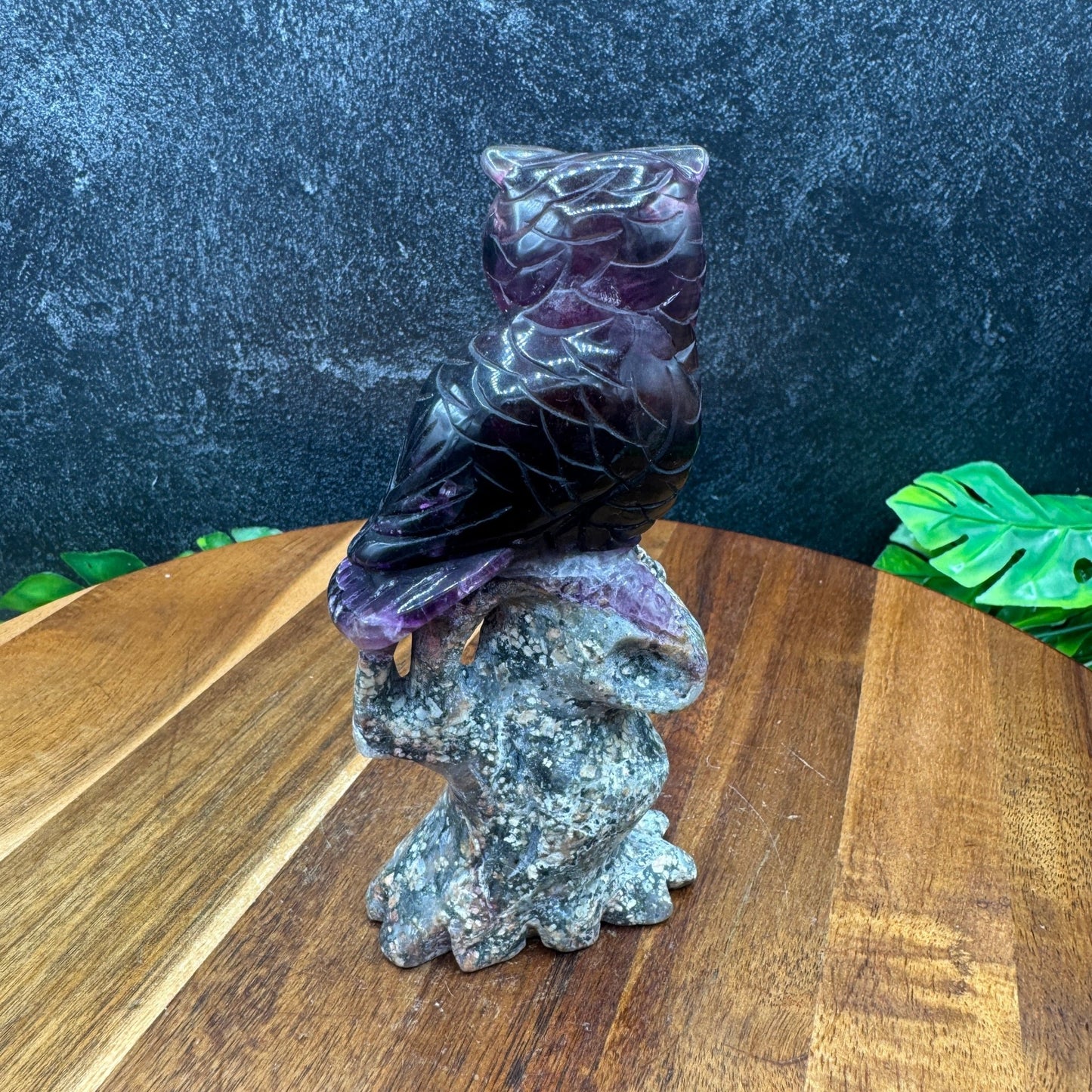 Purple Fluorite Owl on Tree - Sage & Magic