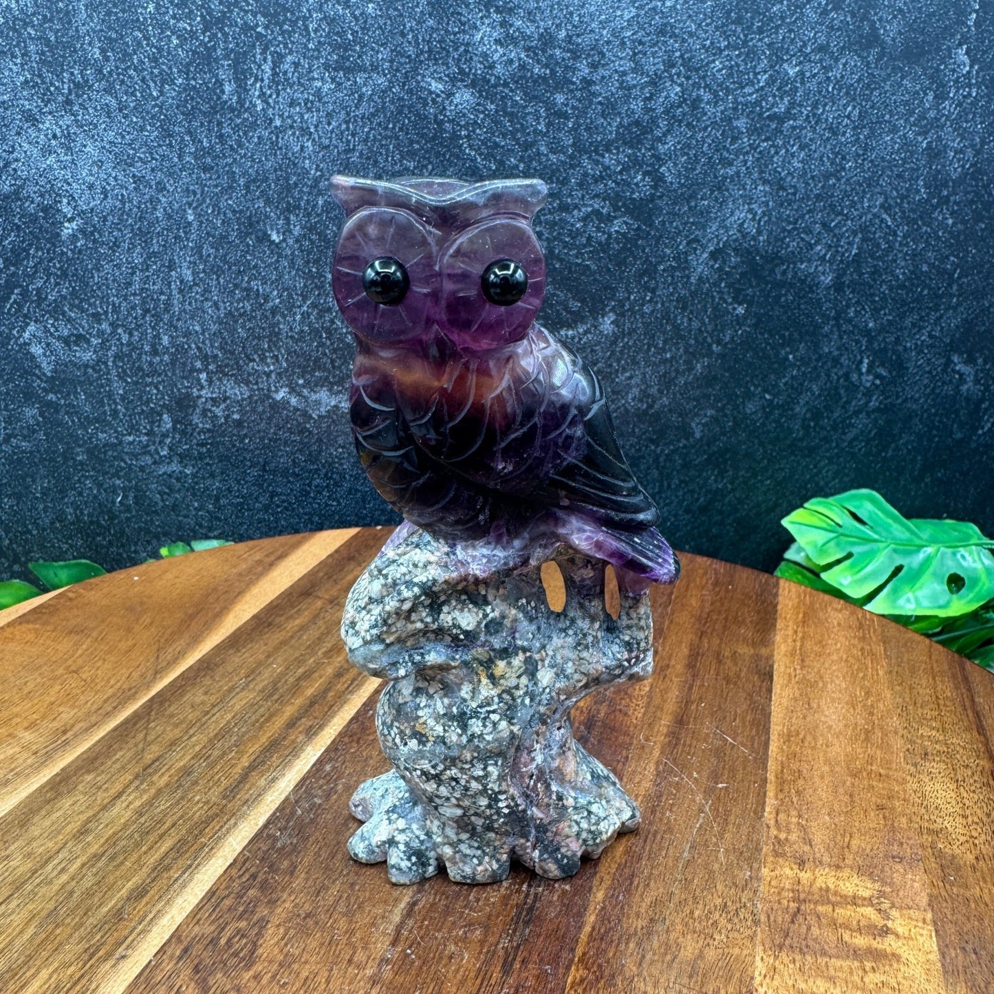 Purple Fluorite Owl on Tree - Sage & Magic