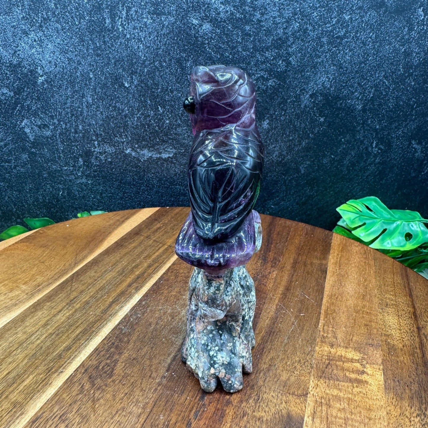 Purple Fluorite Owl on Tree - Sage & Magic