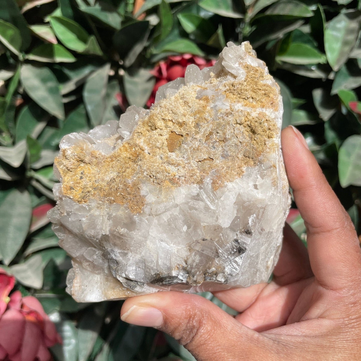 Rare Full Sugar Druzy Bladed Calcite Specimen - Sage & Magic