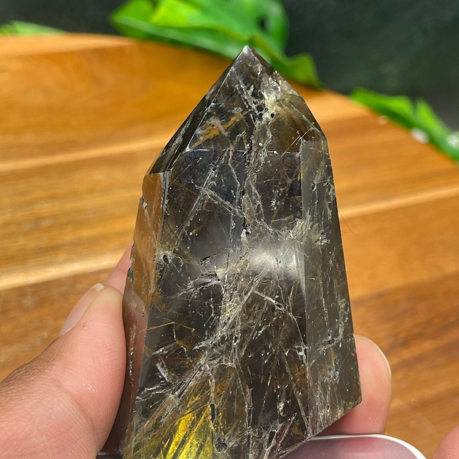 Rutile in Smoky Quartz - Sage & Magic