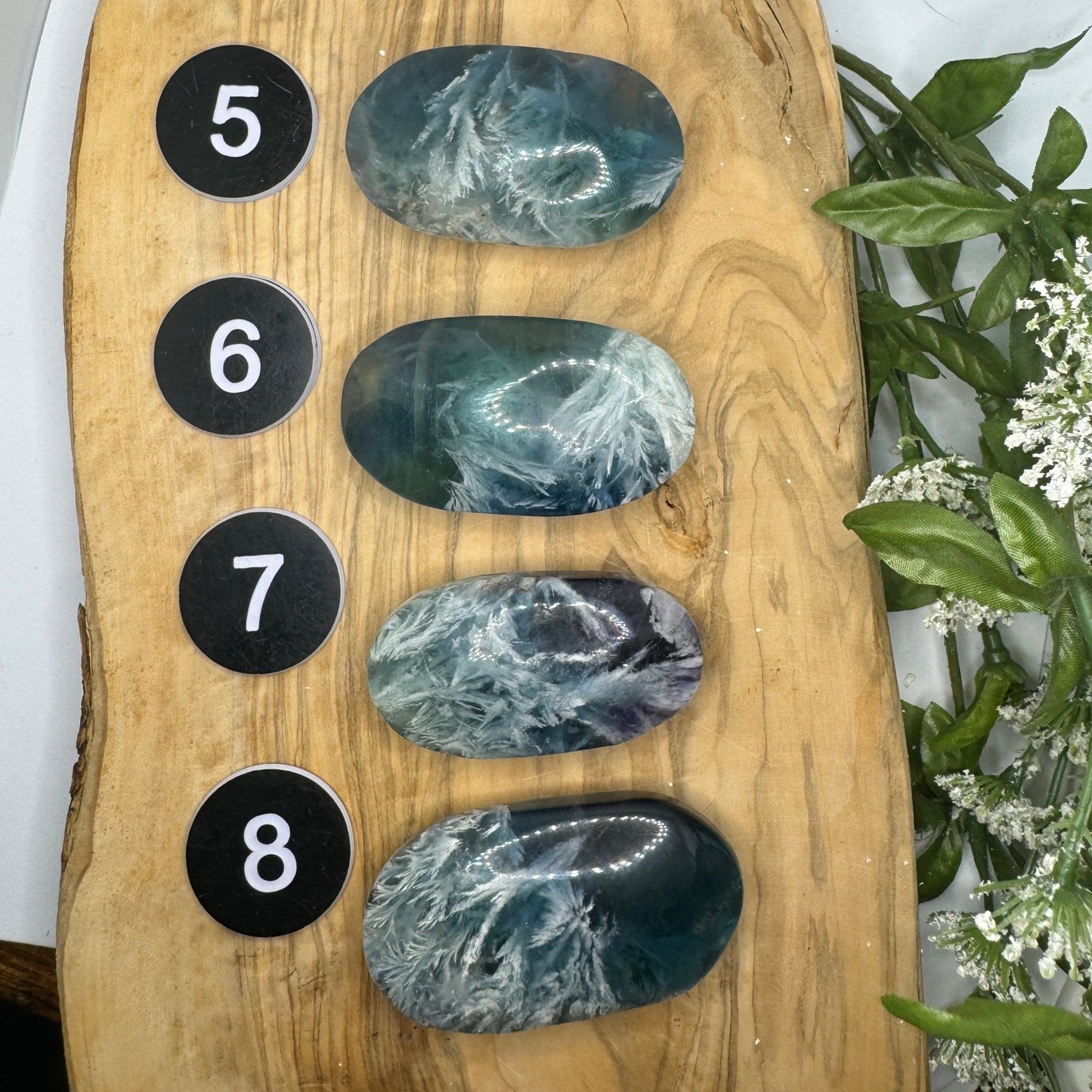 Snow Fluorite Palm Stone - Sage & Magic